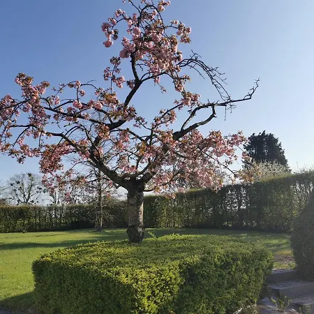 Les 4 Arbres 프로폰데빌